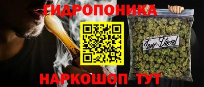 гашик Берёзовский