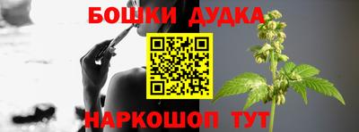 гашик Берёзовский