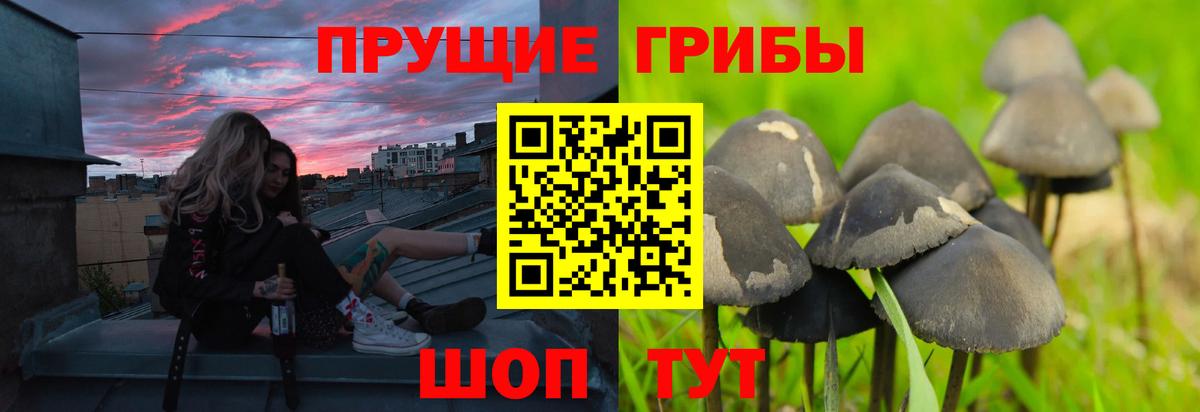 Галлюциногенные грибы мухоморы Зеленокумск